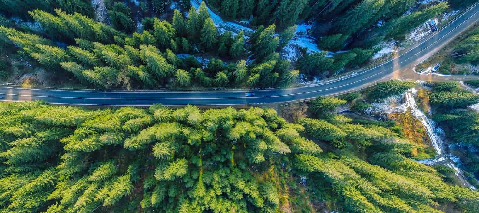Luftaufnahme einer kurvigen Straße, die sich durch einen dichten grünen Wald schlängelt, mit schneebedeckten Bereichen am Rand